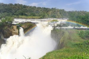 Types of Tourism in Uganda