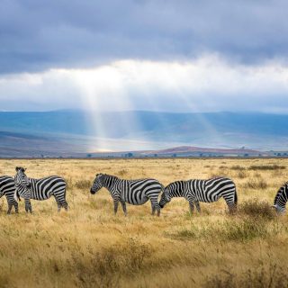 Uganda's land scape