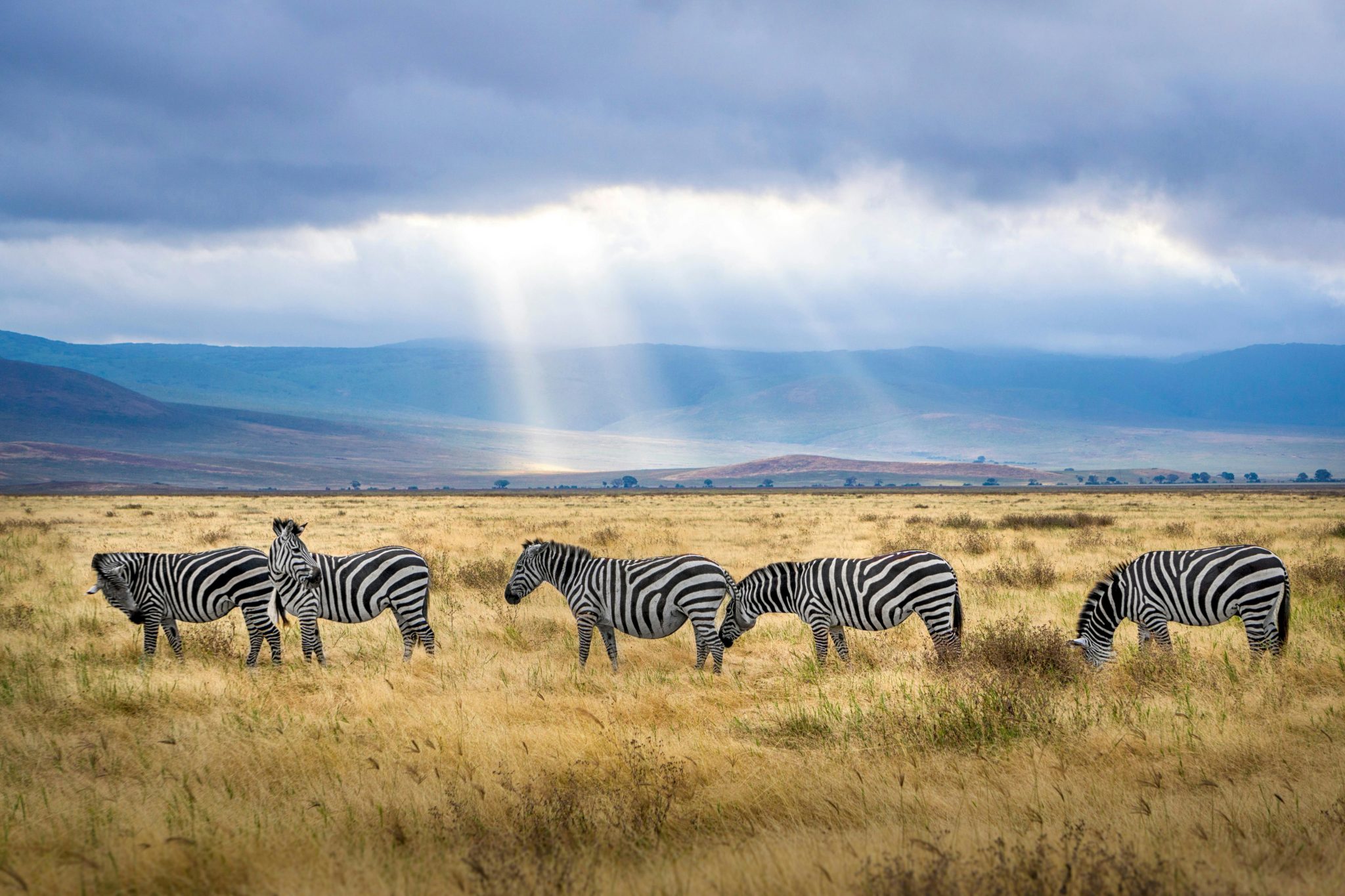 Uganda's land scape
