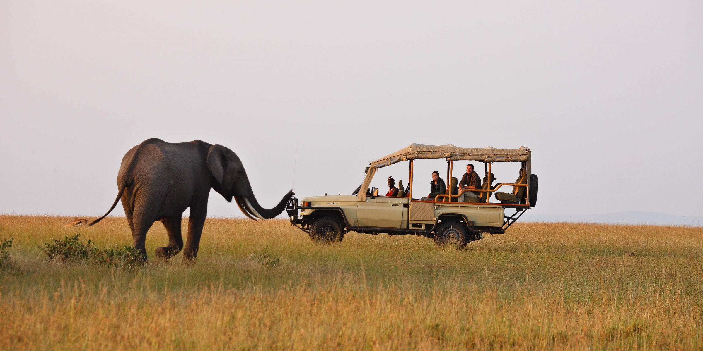 Masai Mara game drive