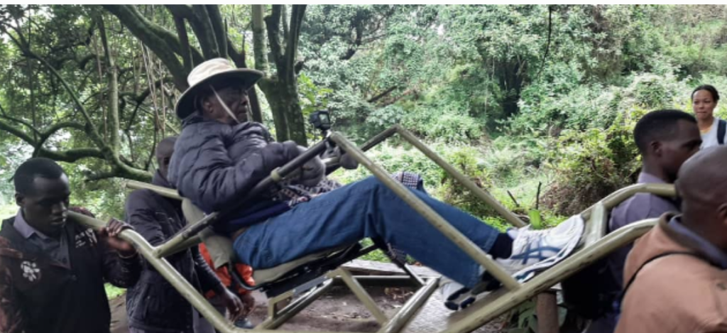 Disabled people can go for gorilla trekking